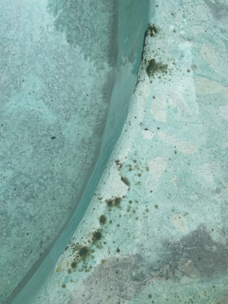 Photo of Texas Leisure Pools & Spas