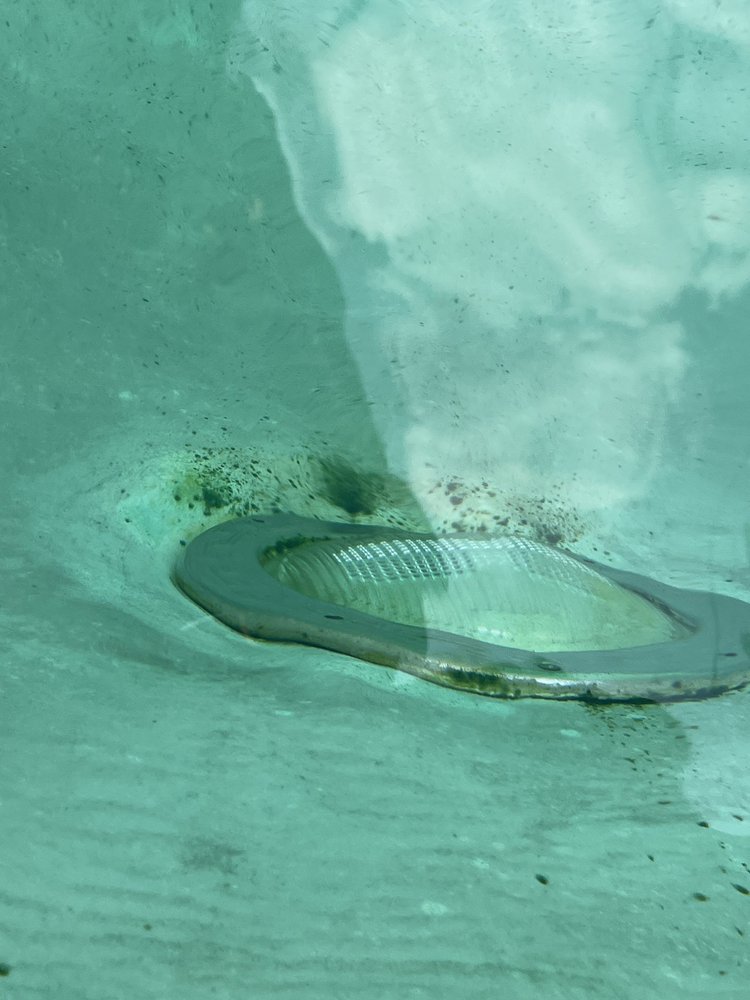 Photo of Texas Leisure Pools & Spas