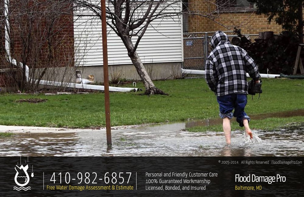 Photo of Flood Damage Pro