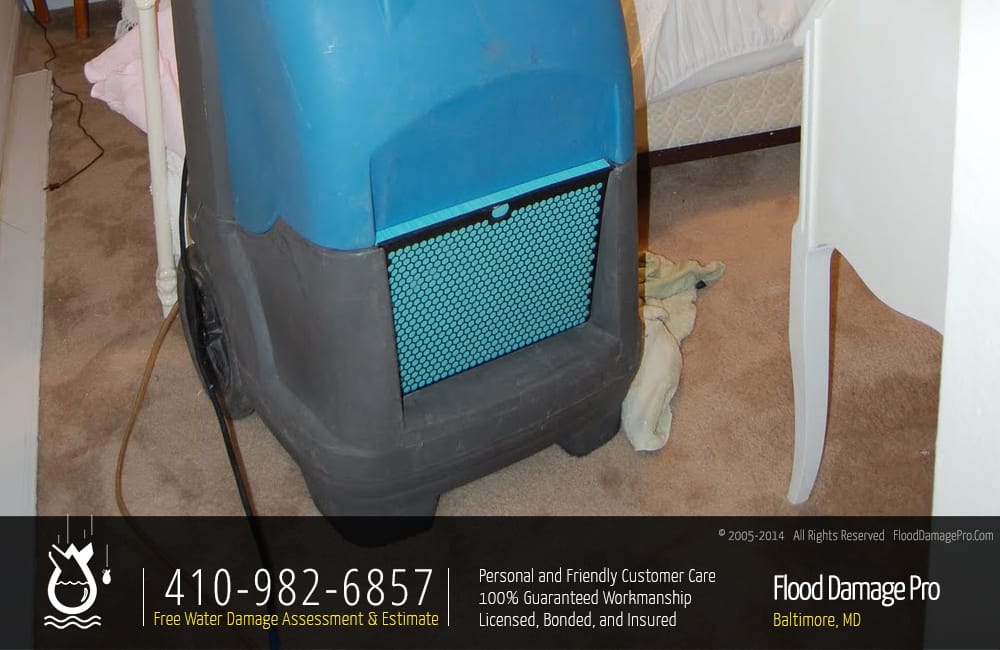 Photo of Flood Damage Pro