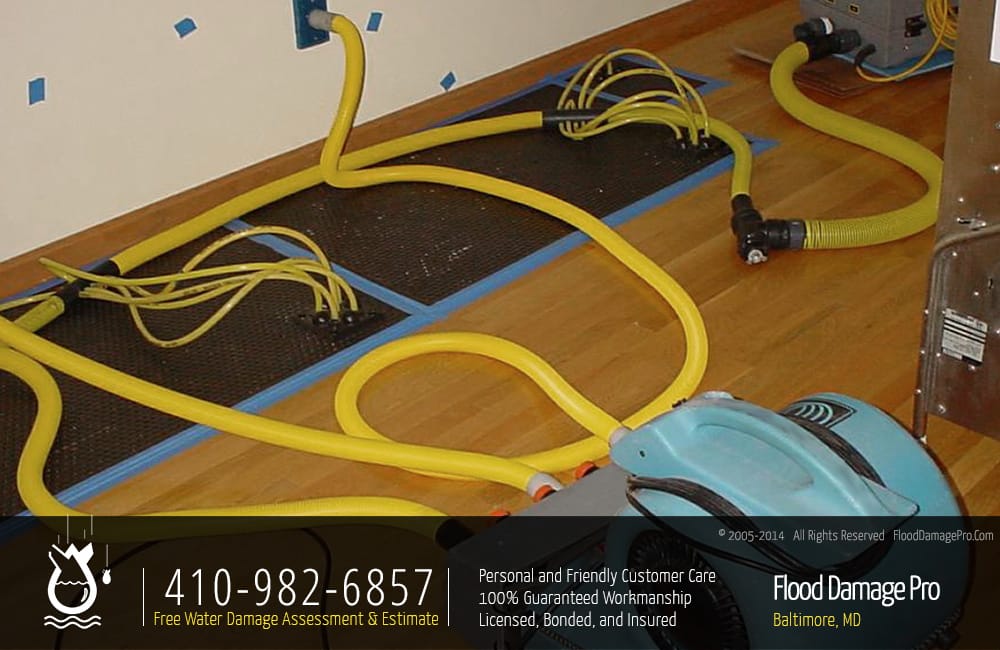 Photo of Flood Damage Pro