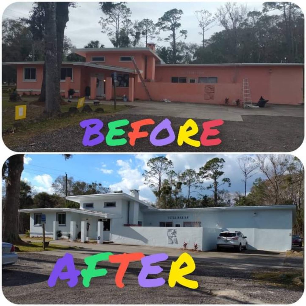 Photo of Palm Coast Painting