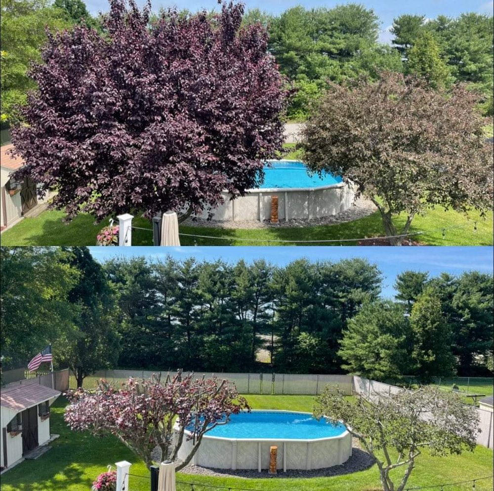 Photo of TurfTamers Lawn Maintenance and Landscape Design
