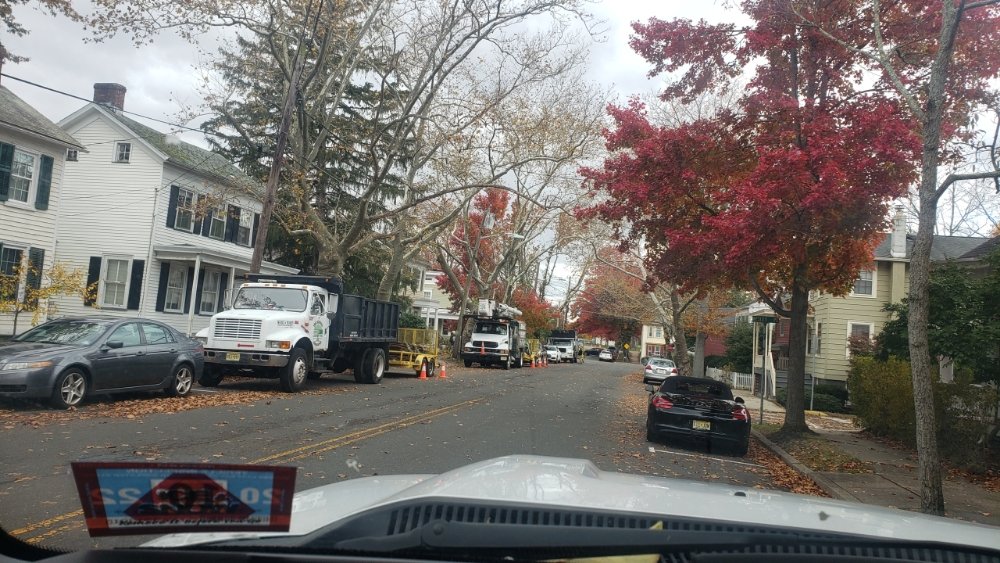 Photo of ADP Land Design and Tree Service