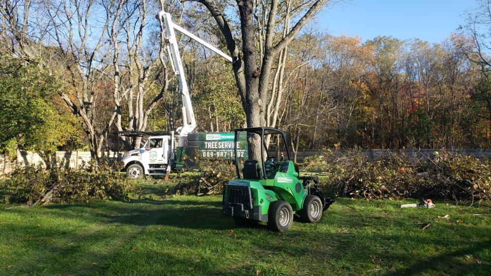 Photo of ADP Land Design and Tree Service