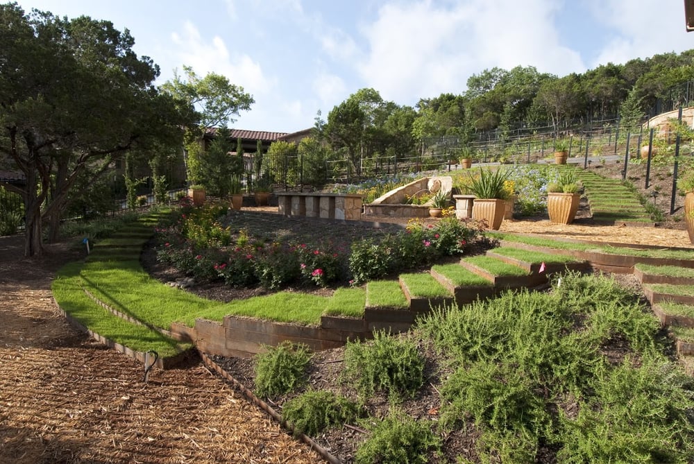 Photo of Vincent Landscapes