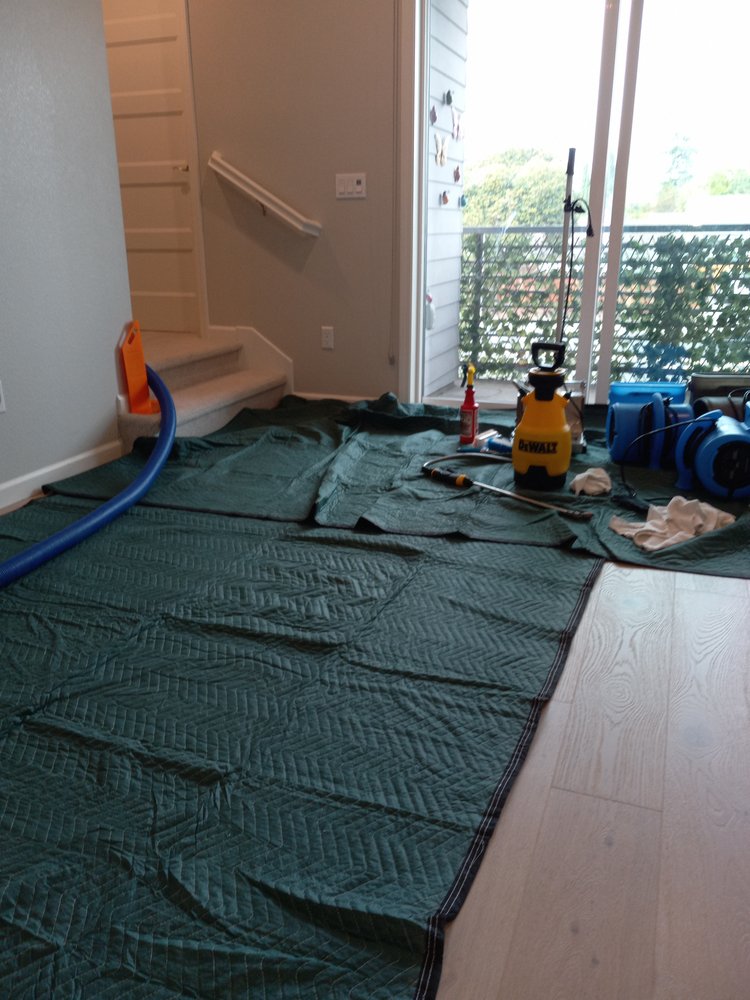 Photo of Jiffy Clean Carpet Cleaning