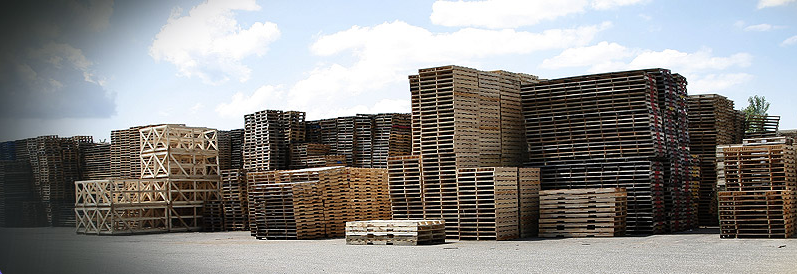 Photo of Kamps Pallets