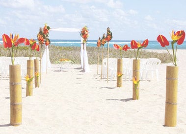 Photo of A Seaside Wedding