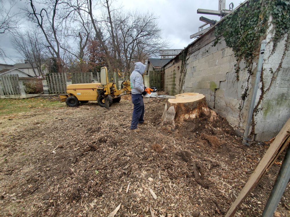 Photo of BJS Tree Service
