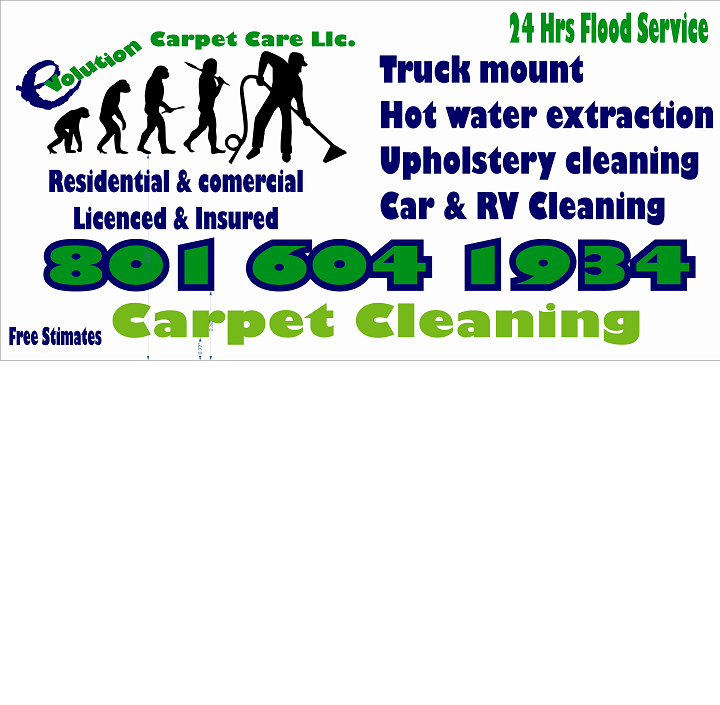 Photo of Evolution Carpet Care