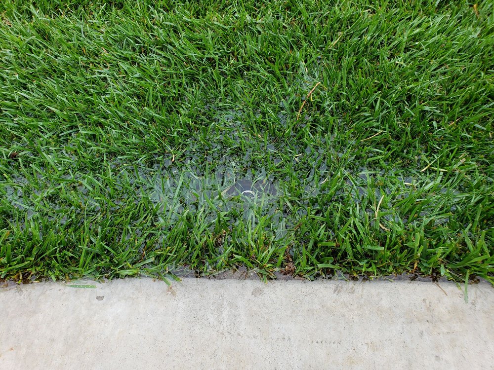Photo of Stay Green and Clean Landscapers