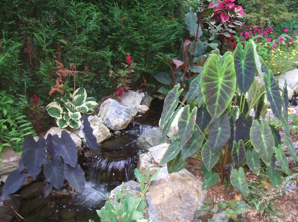 Photo of Limone Farm & Gardens