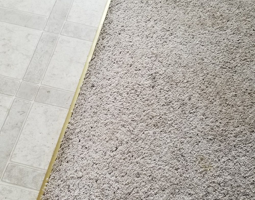 Photo of Master Clean