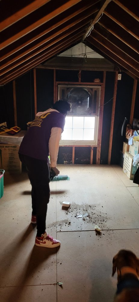 Photo of Moving U & Junk U - Reading