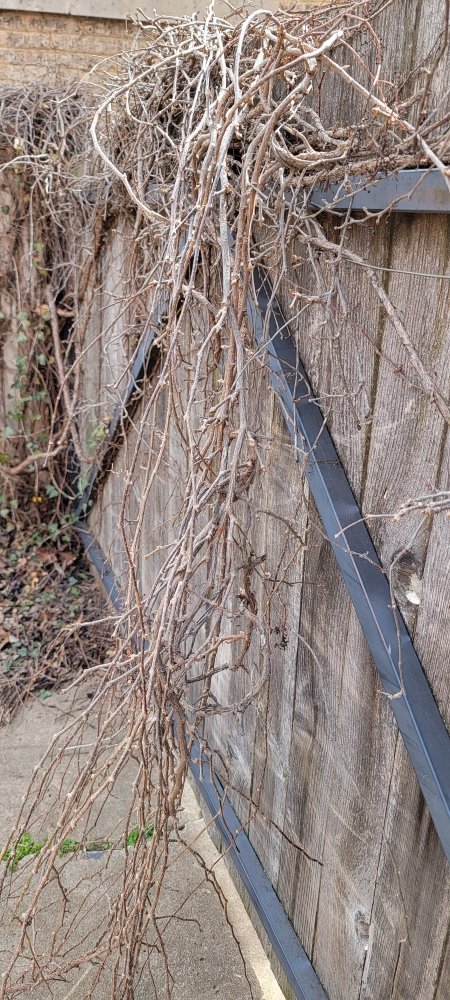 Photo of OM Fence