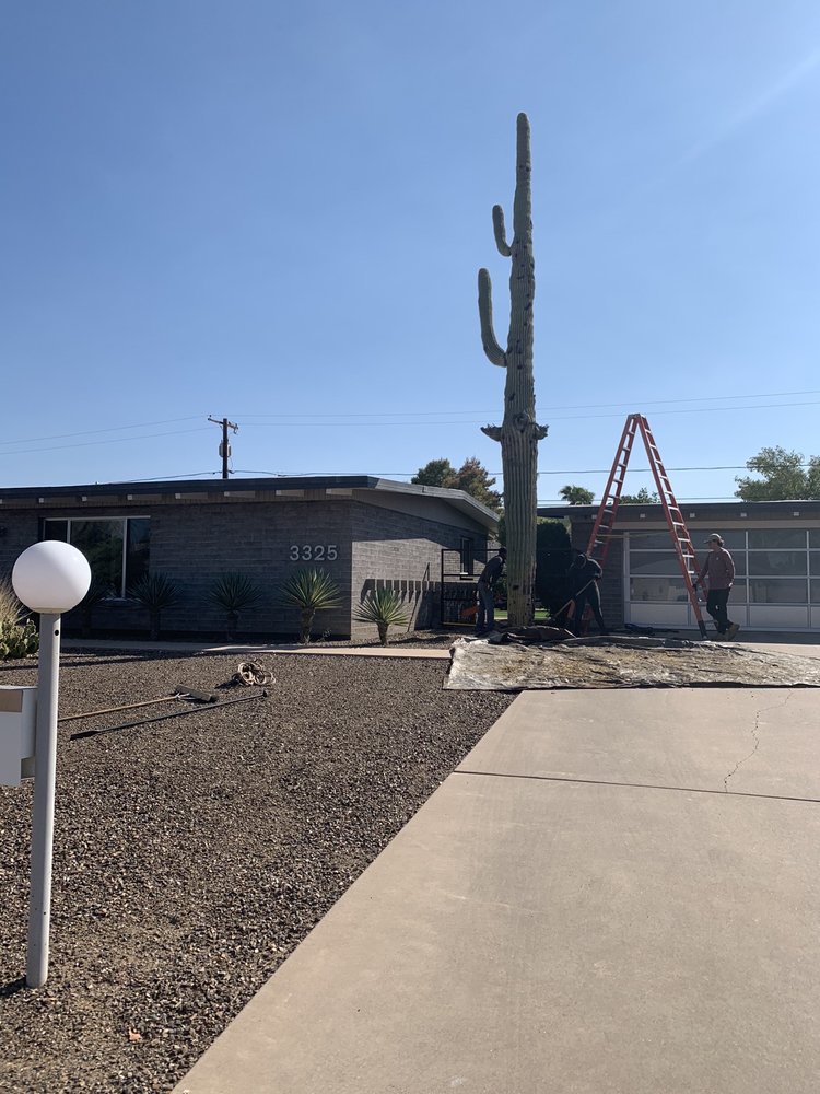 Photo of AZ Cactus Experts