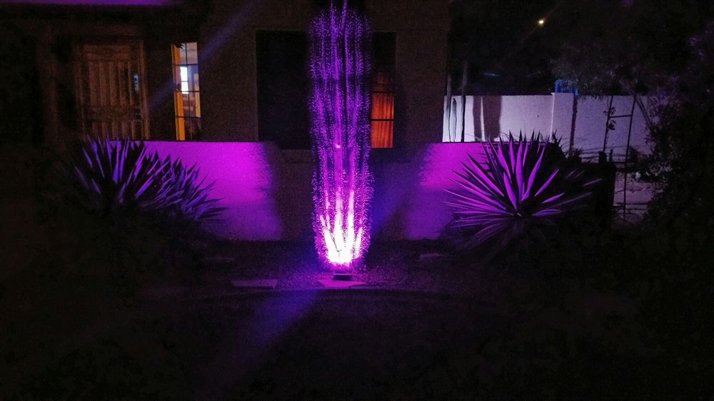 Photo of AZ Cactus Experts