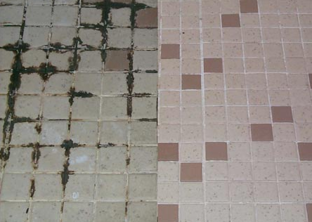 Photo of American Grout Specialists