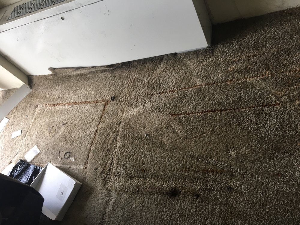Photo of Carpet Spectrum