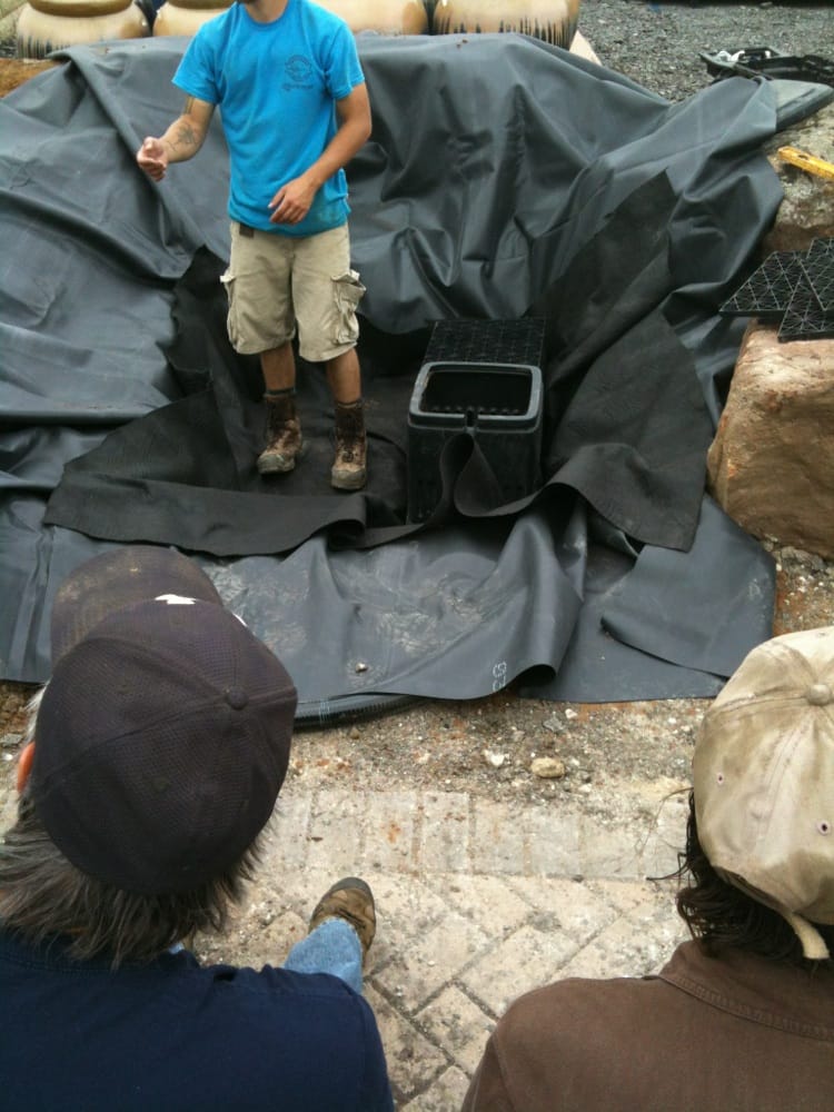 Photo of Whiz-Q Stone