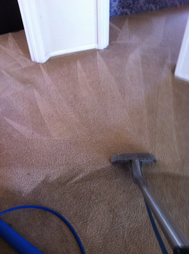 Photo of Gold Medal Carpet Care