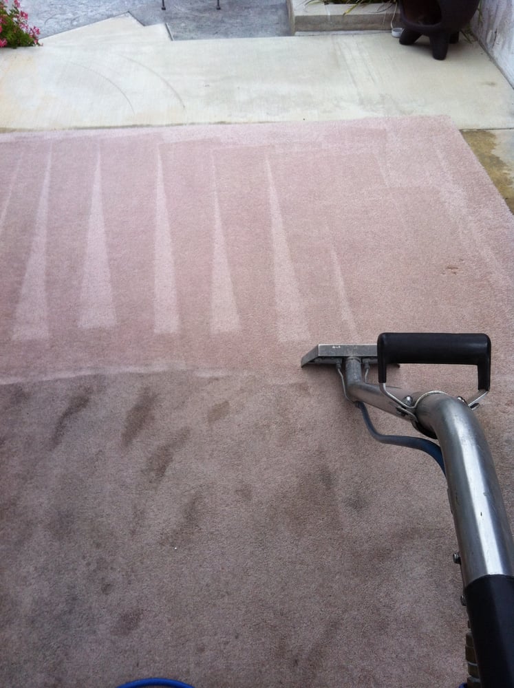 Photo of Gold Medal Carpet Care