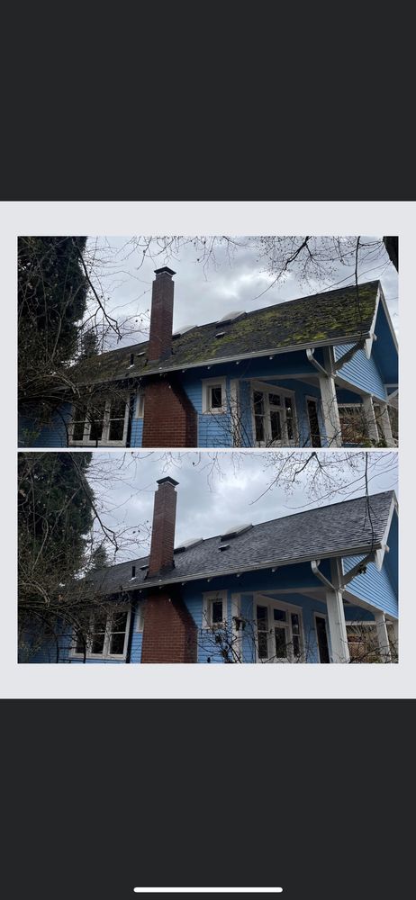 Photo of Moss Solutions