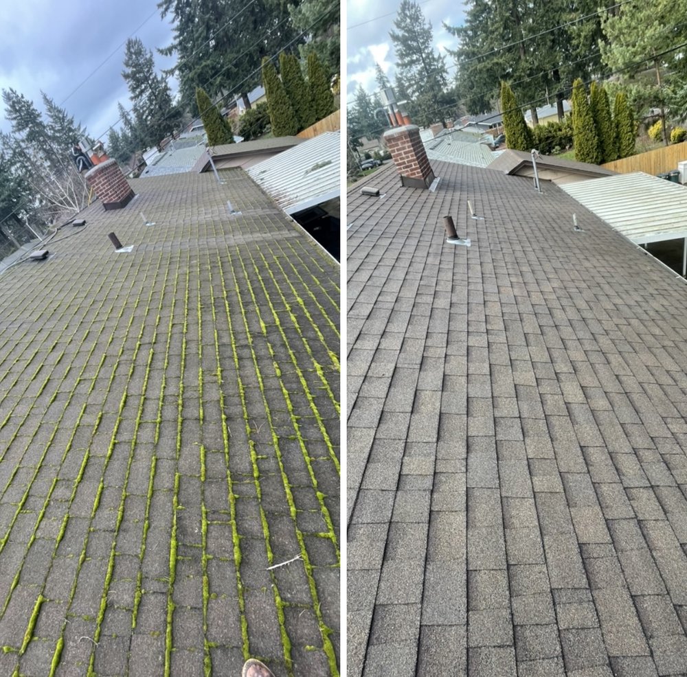 Photo of Moss Solutions
