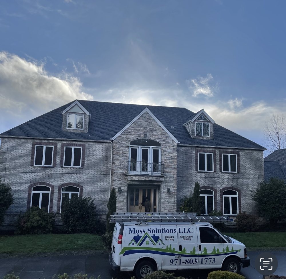 Photo of Moss Solutions