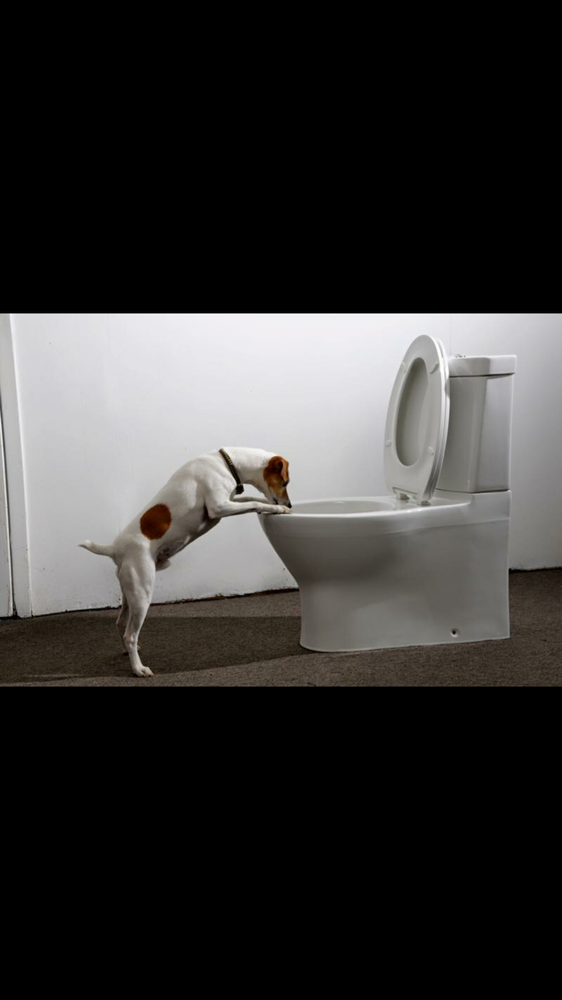 Photo of Reeves Family Plumbing
