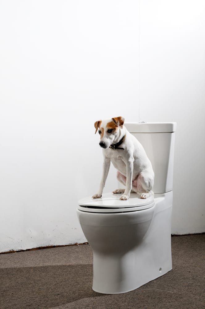 Photo of Reeves Family Plumbing