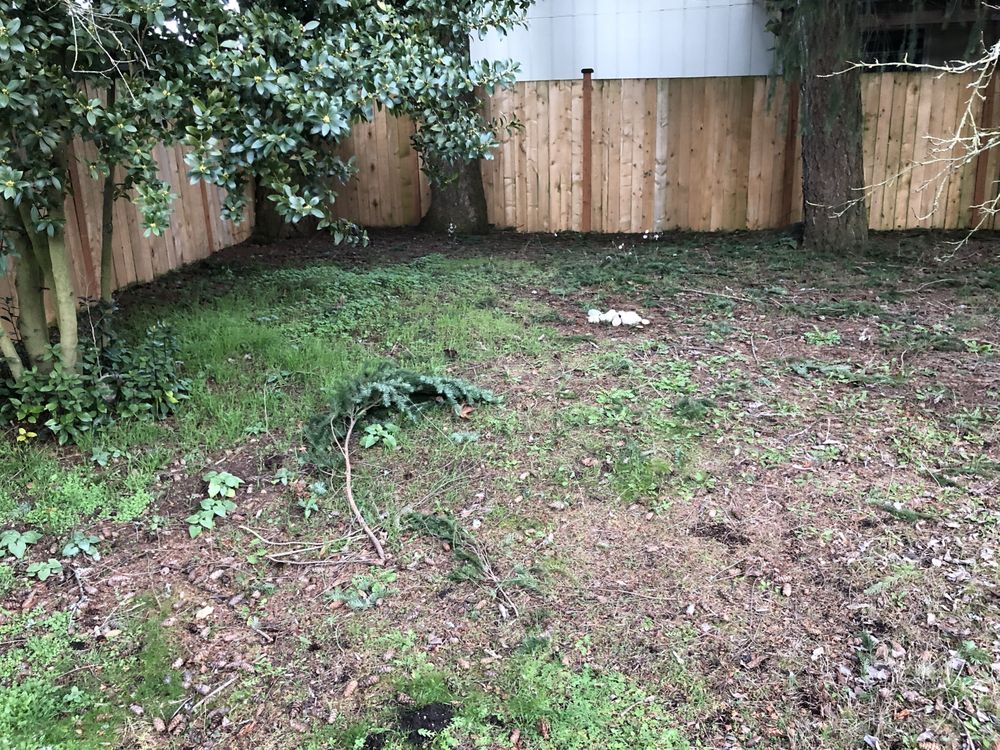 Photo of A Helping Hand Landscaping & Painting