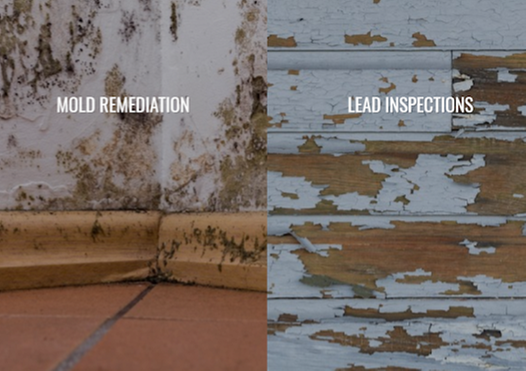 Photo of 1 A&A Absolute Abatement Mold Remediation