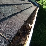 Photo of The Brothers That Just Do Gutters