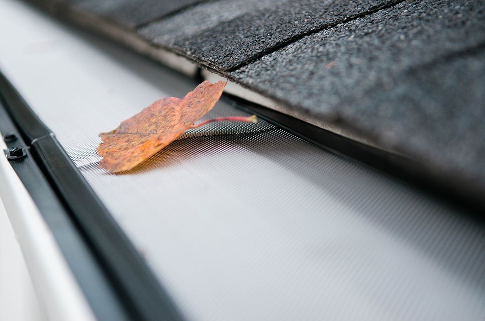 Photo of The Brothers That Just Do Gutters