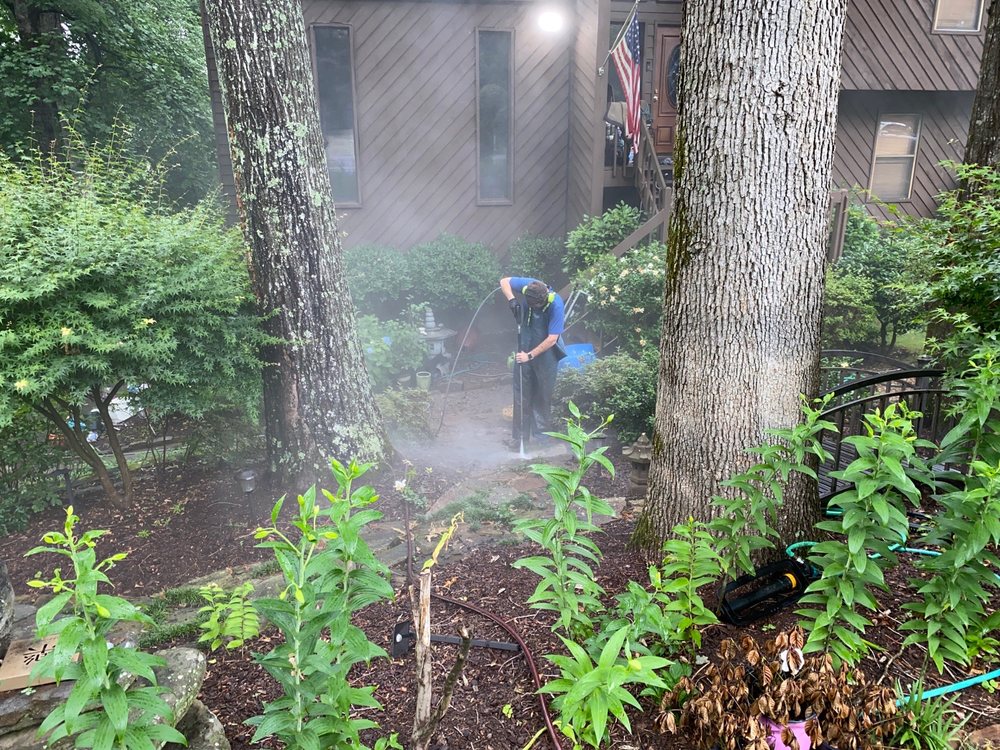 Photo of TLC Cleaning Services