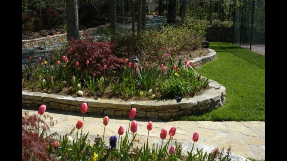 Photo of Rudy's Tree Service and Landscaping