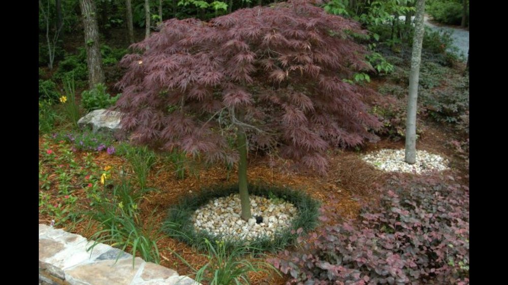 Photo of Rudy's Tree Service and Landscaping