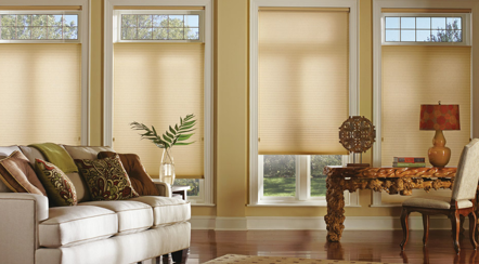 Photo of Discount Window Focus