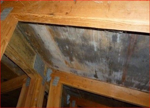 Photo of Portland Mold Solutions - Most Up To Date Mold Removal