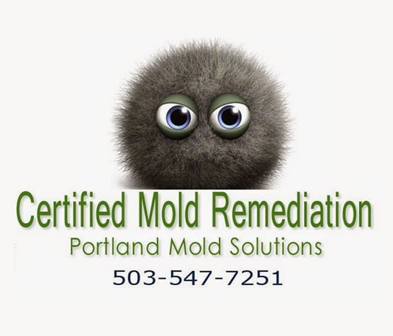 Photo of Portland Mold Solutions - Most Up To Date Mold Removal