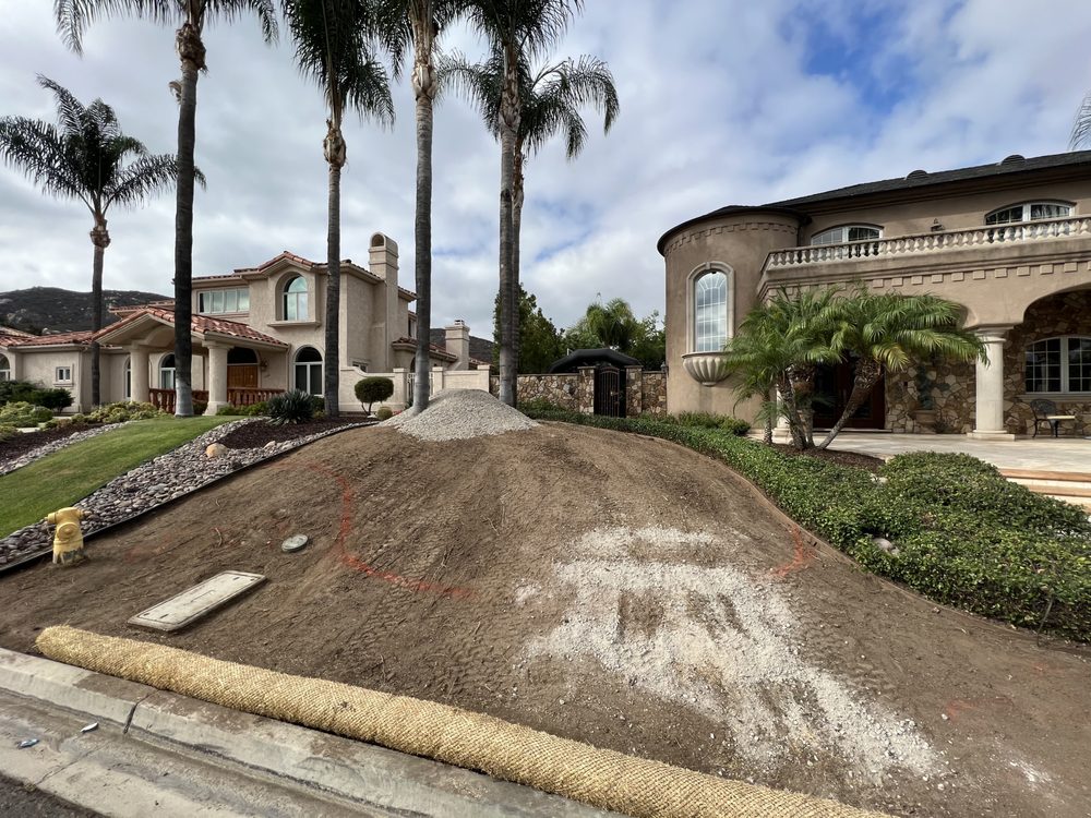 Photo of SD3D Landscape