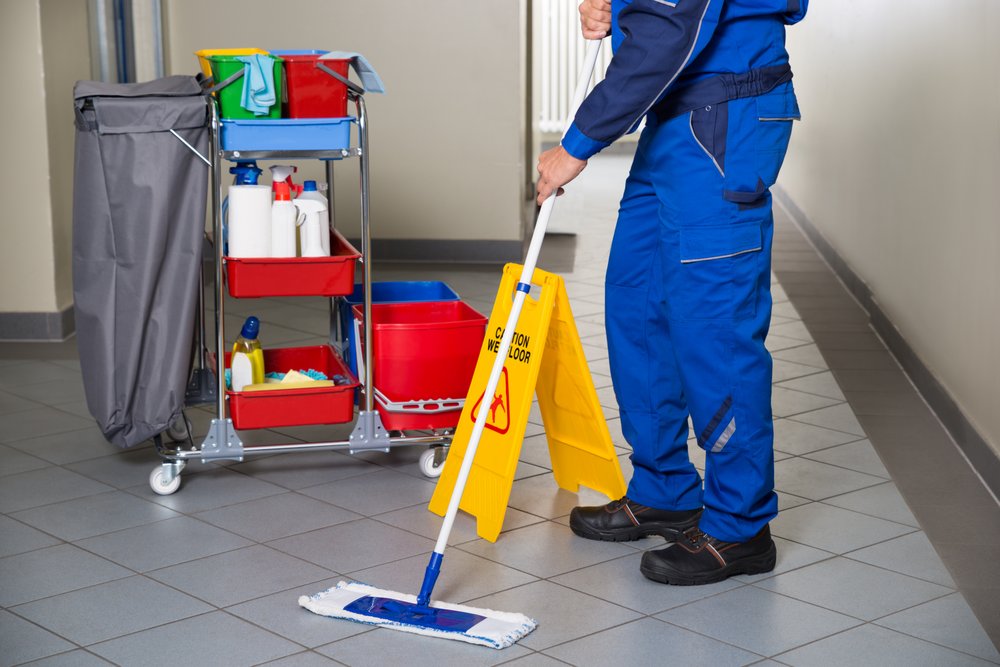 Photo of Terra Cleaning Services