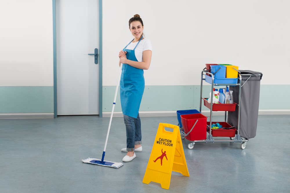 Photo of Terra Cleaning Services