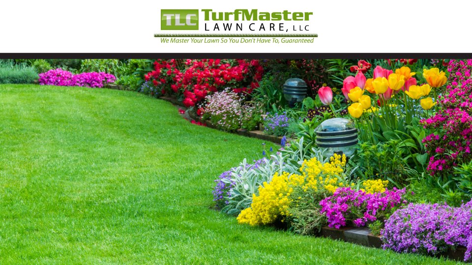 Photo of TLC TurfMaster Lawn Care