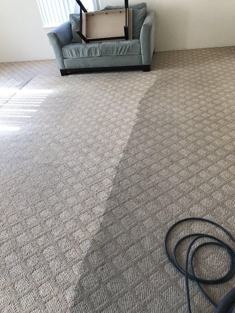 Photo of Cisco Steam Clean