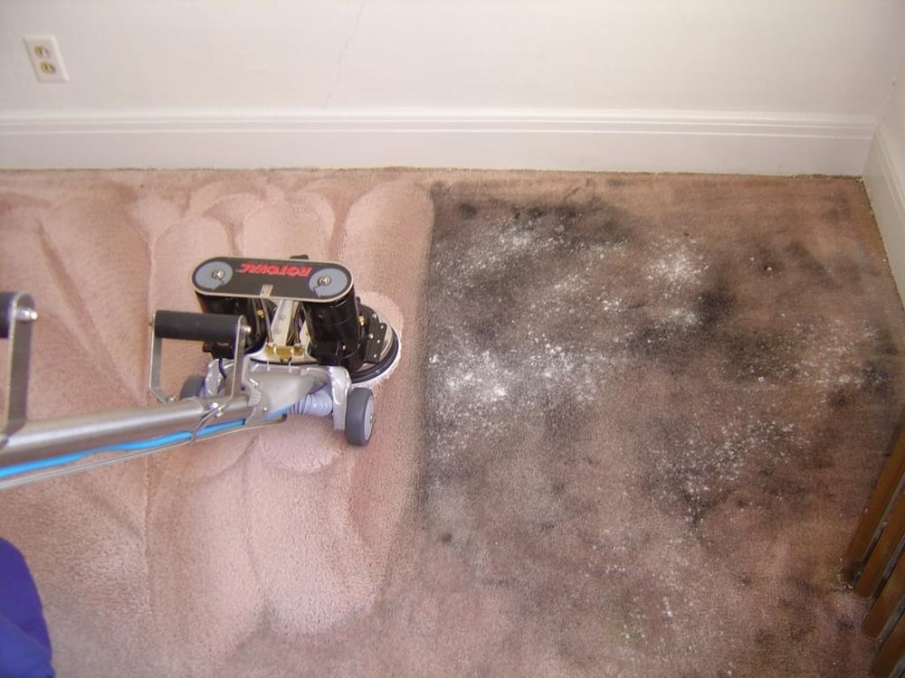Photo of Cisco Steam Clean