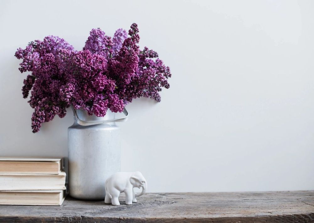 Photo of HavannaBelle Home Solutions