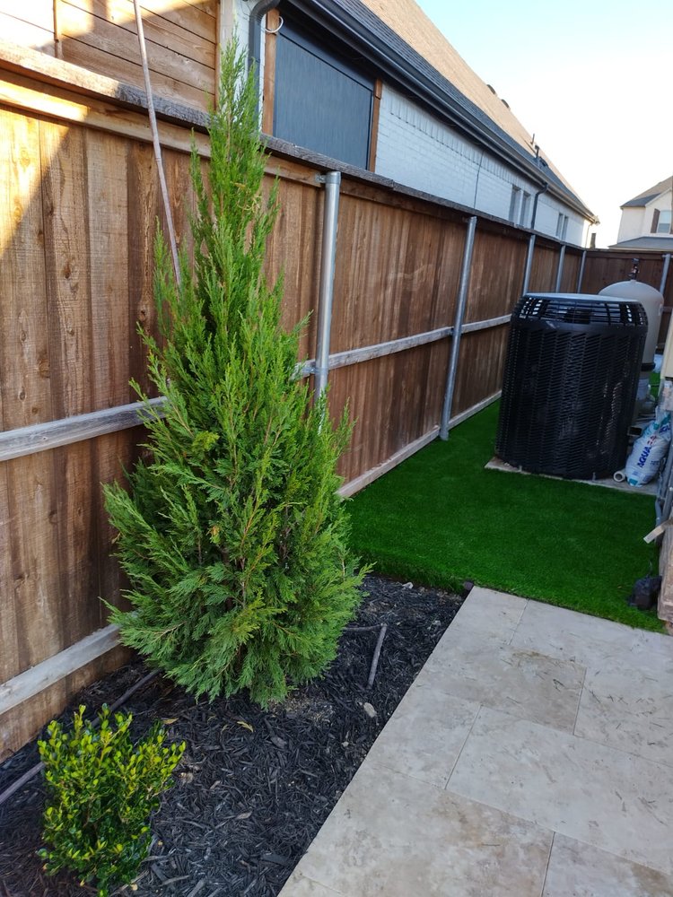 Photo of Synthetic Turf Guerrero and Associates